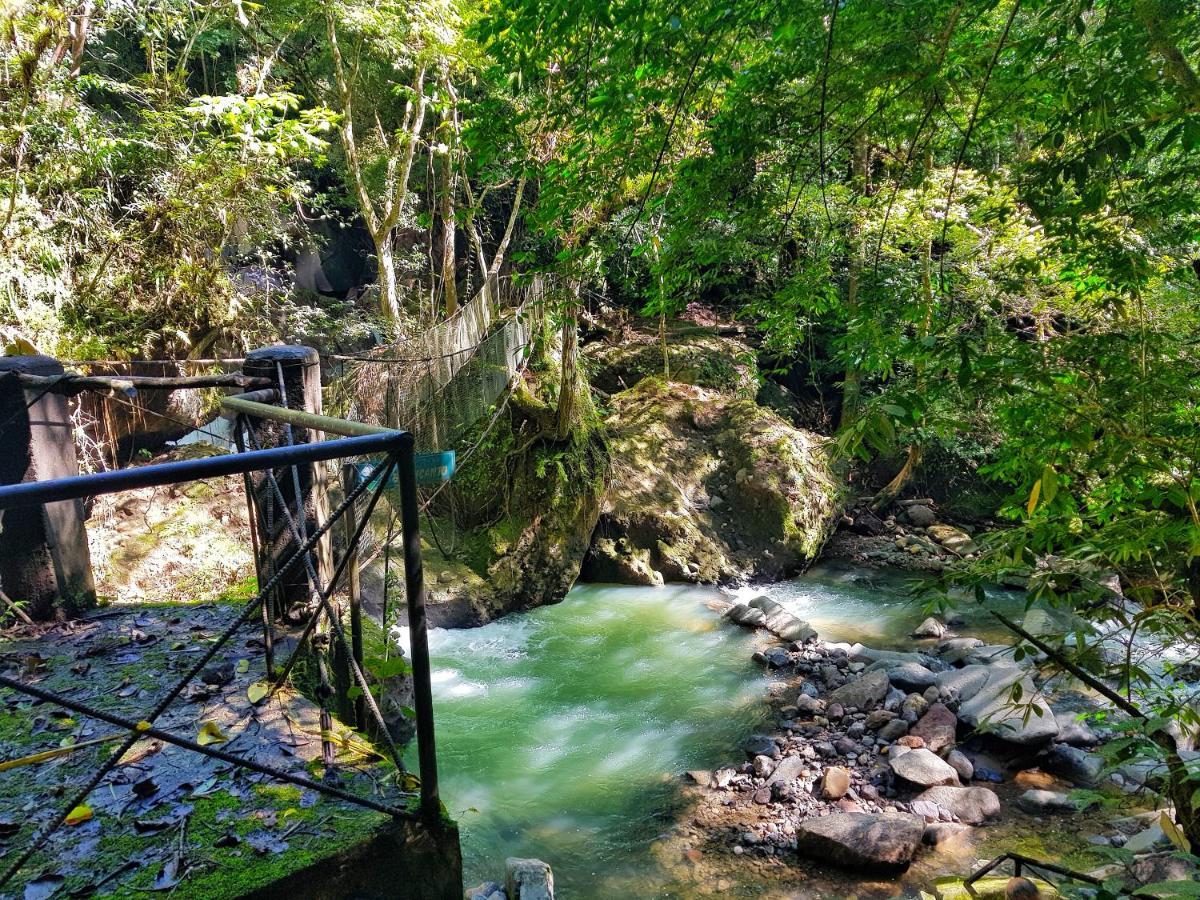 Tower Studio In The Treetops In Altos Del Maria Panama El Picacho Extérieur photo